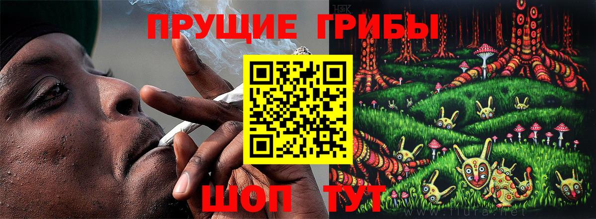 Псилоцибиновые грибы MAGIC MUSHROOMS  Вход с VPN  закладка  Калуга 