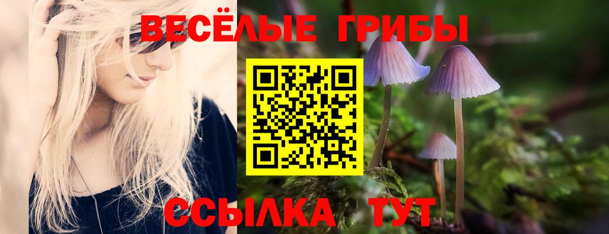Псилоцибиновые грибы Cubensis Калуга